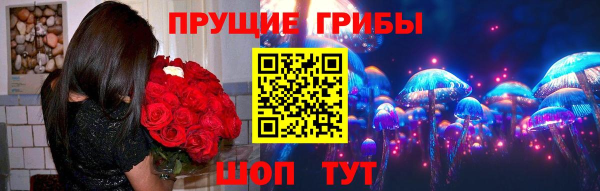 Псилоцибиновые грибы мицелий  Вход с VPN  Глазов 
